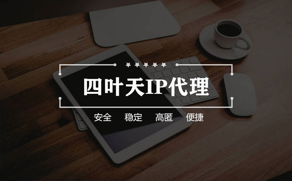 【惠州代理IP】如何快速搭建代理IP？怎么检查代理的效果？